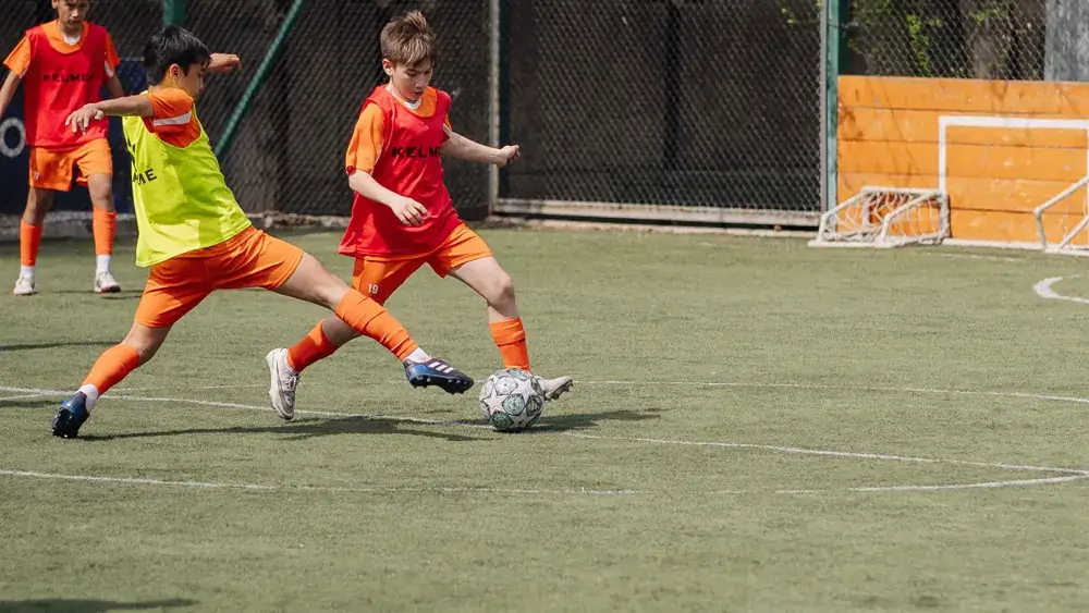 Training pitches